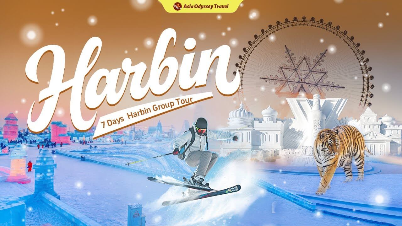 7 Days Harbin Group Tour: Ice, Snow & Skiing Ultimate Experience 7 Days Harbin Group Tour: Ice, Snow & Skiing Ultimate Experience