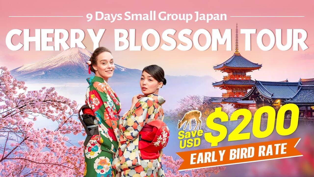 9 Days Japan Cherry Blossom Tour 2026: Most Popular Sakura Tour in Group 9 Days Japan Cherry Blossom Tour 2026: Most Popular Sakura Tour in Group