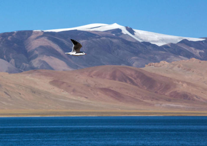 Beijing Tours, Beijing City Tours, Beijing Private Tours